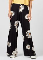 CALCA SPLASH DAISY