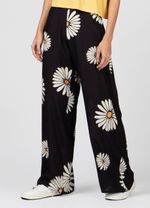 CALCA SPLASH DAISY
