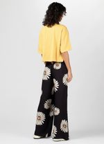 CALCA SPLASH DAISY