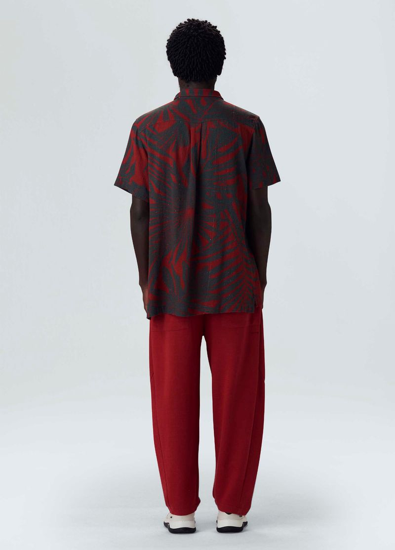 camisa