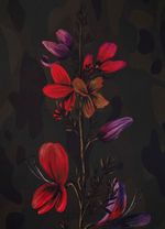 lenco camu flower
