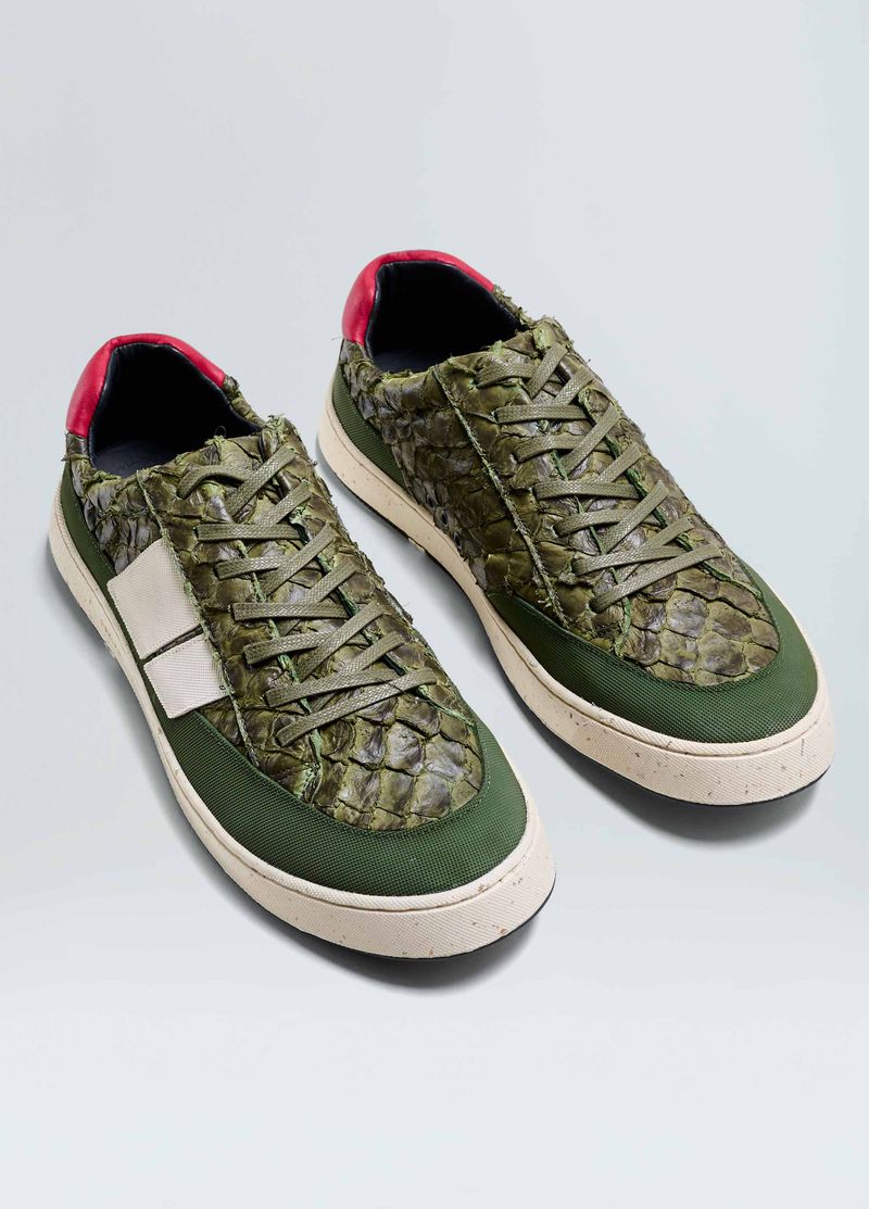 TENIS