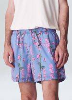 beachshort