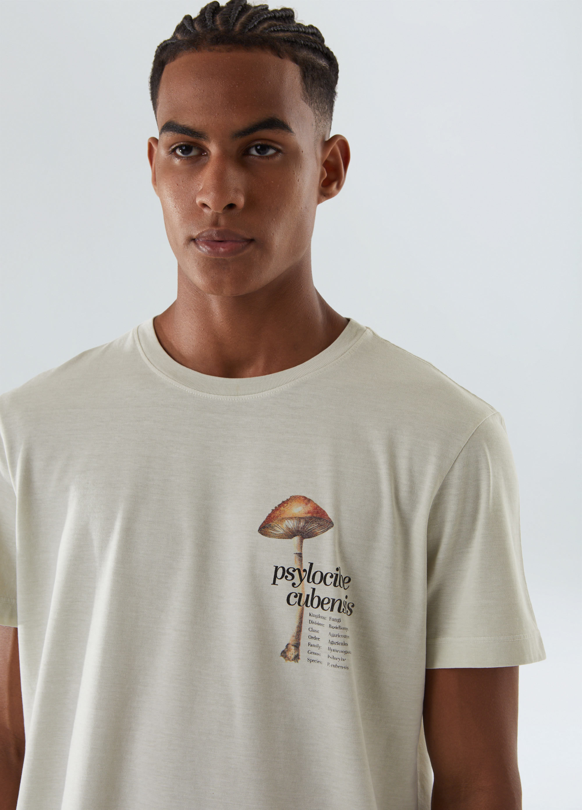 tshirt stone psylocibe