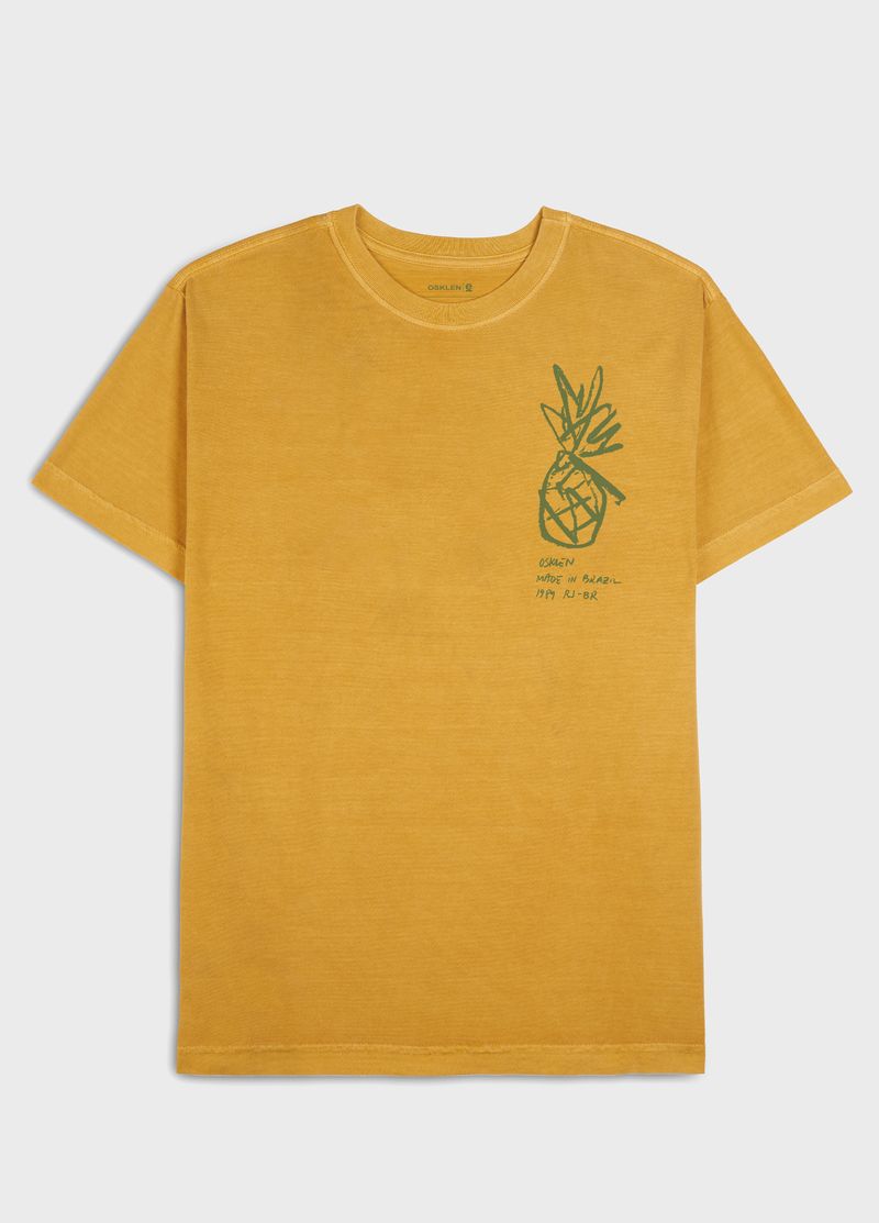 Regular Stone Pineapple Sketch