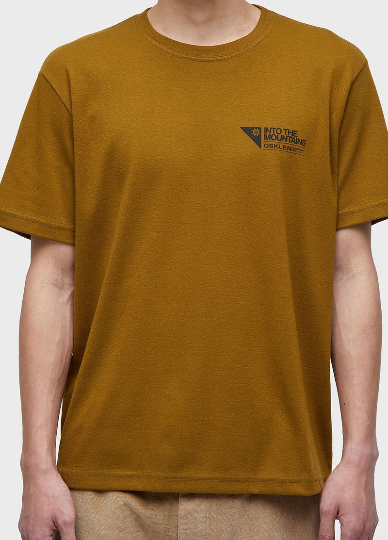 7358709302_BIG-SHIRT-CARIMBO-ITM-MC_3