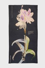751881057_LENCO-ORCHID_1