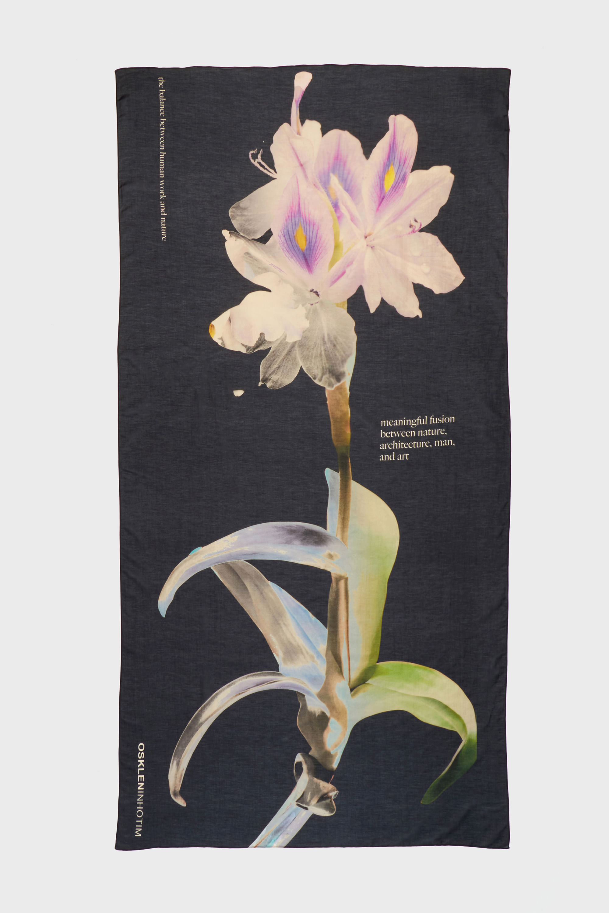 LENCO ORCHID