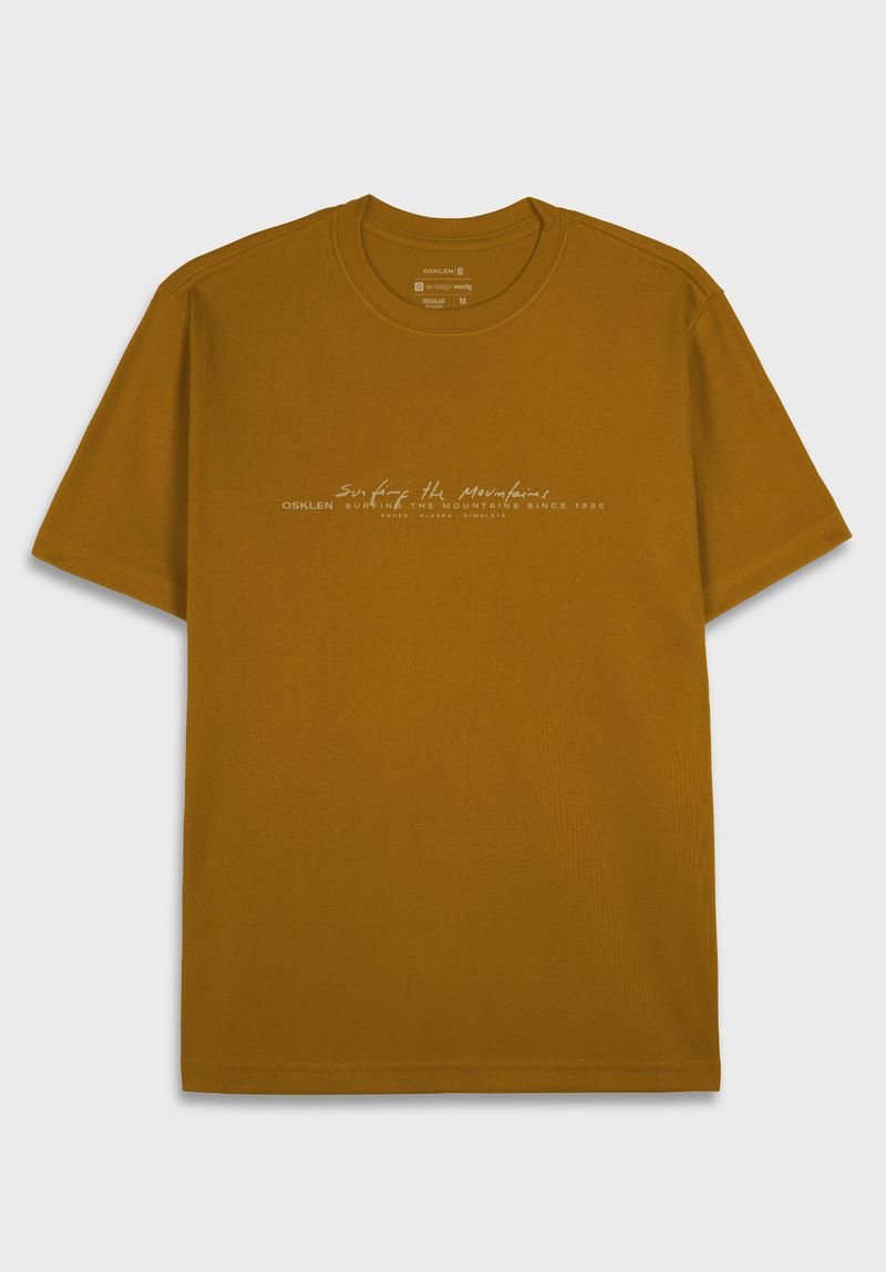 7515609302_Regular-Big-Shirt-Signature_1