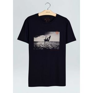 T-shirt vintage kite