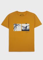 Regular Vintage Tropical Winds