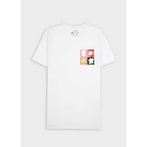T-shirt stone sand bottle