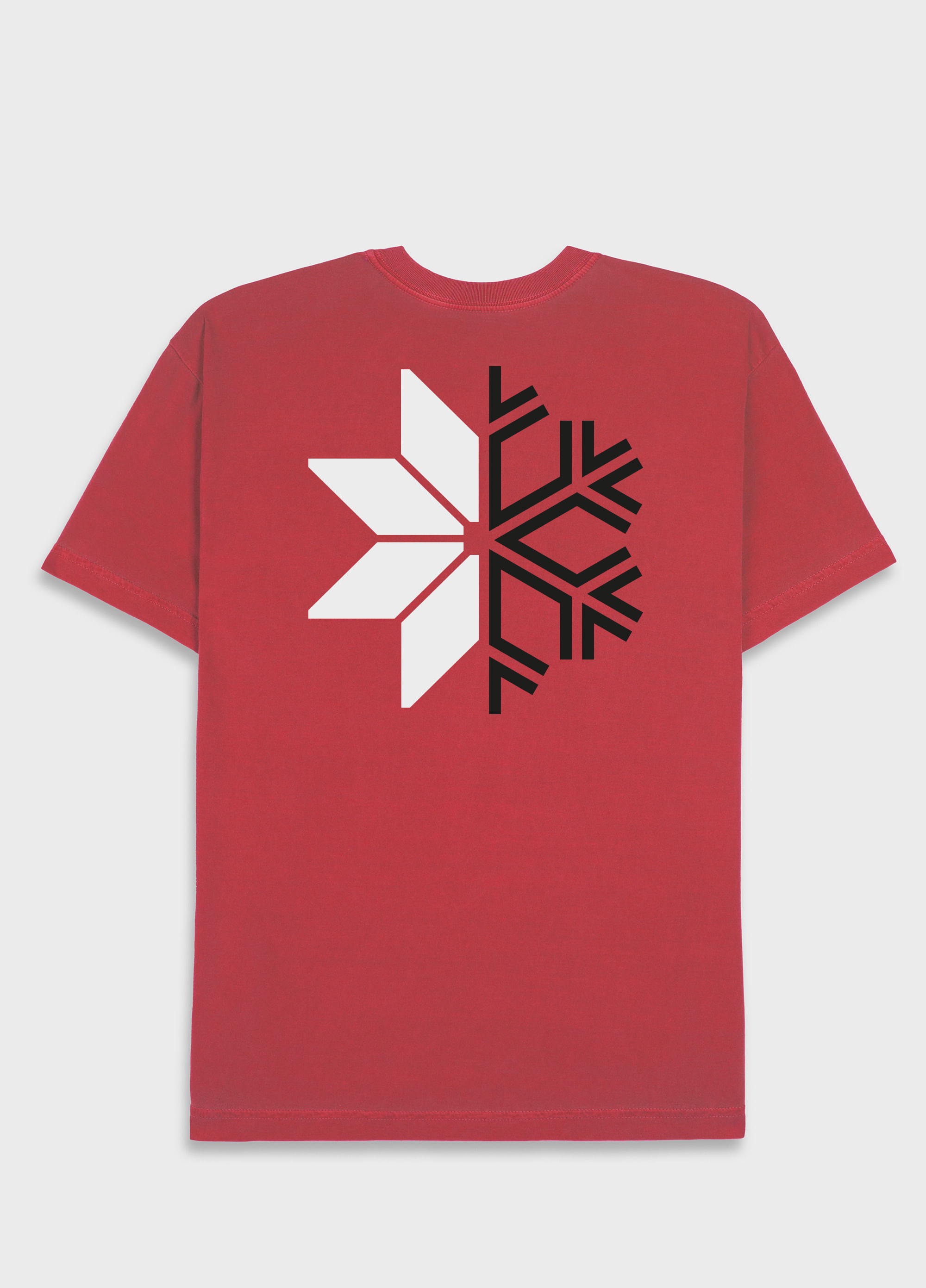 Tshirt Regular Stone Snow Icon