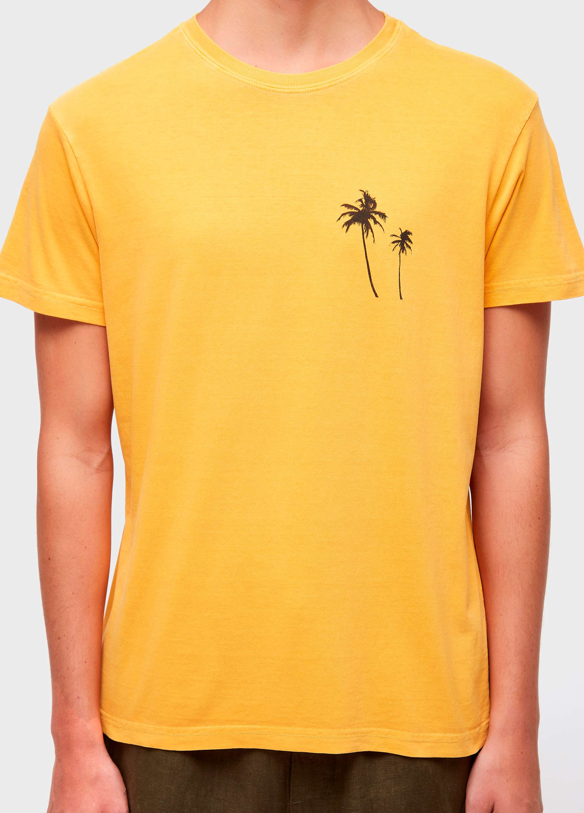 T-shirt stone coqueiro frente