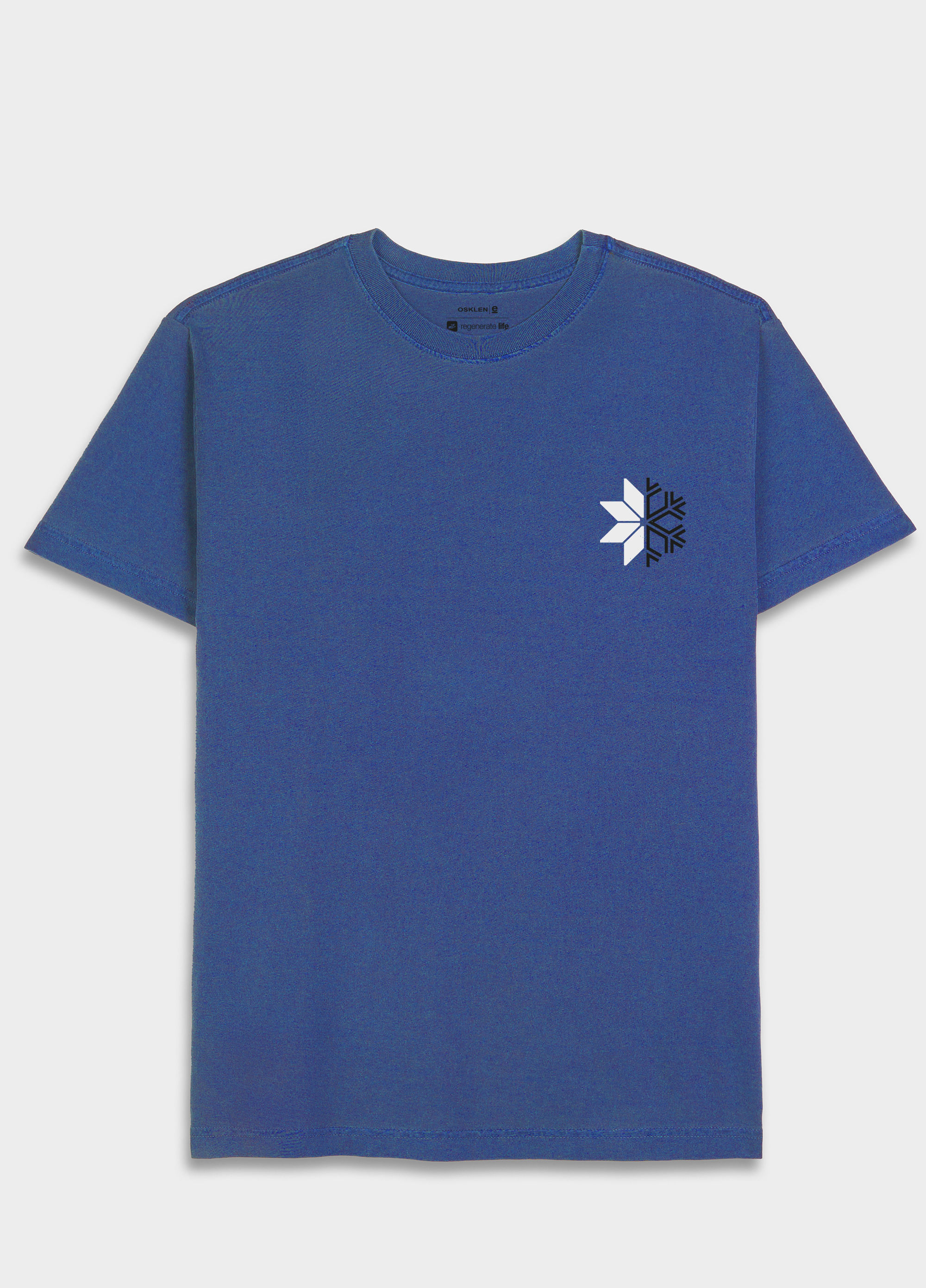 Tshirt Regular Stone Snow Icon