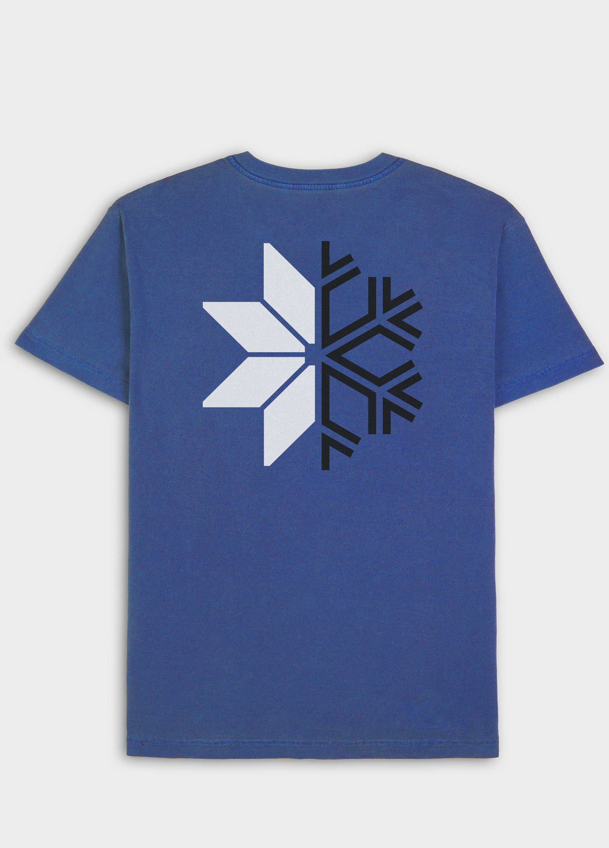 Tshirt Regular Stone Snow Icon
