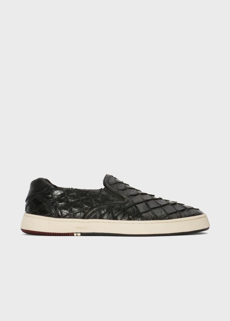6204710_TENIS_1