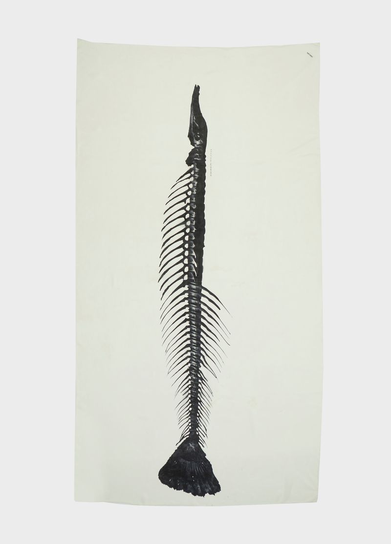 553641824_LENCO-PIRARUCU-SPINE_1