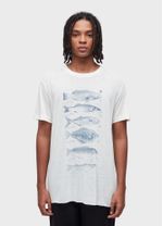 TSHIRT PEIXES SPECIES