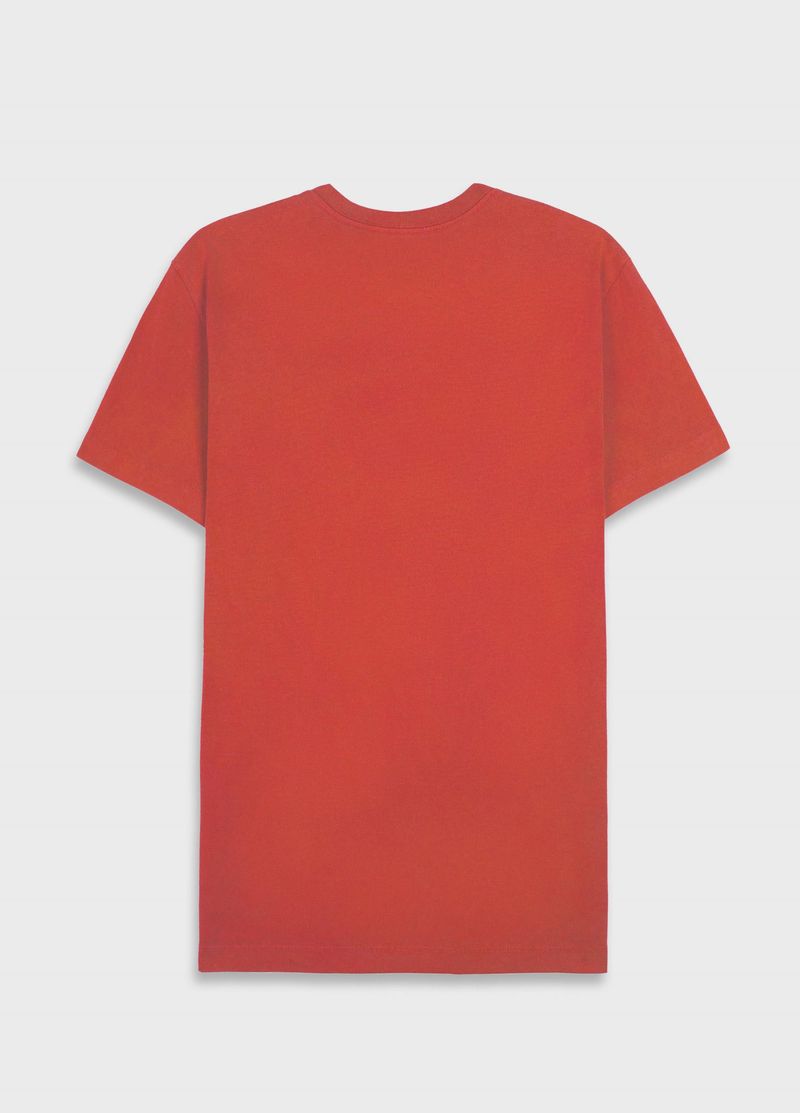7363408_T-SHIRT-STONE-PRANCHAS-MC_2