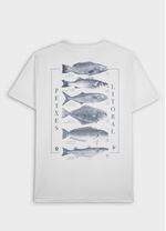 TSHIRT STONE PEIXES DO LITORAL