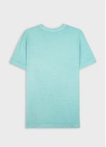 Tshirt Slim Stone Coqueiro Gaze