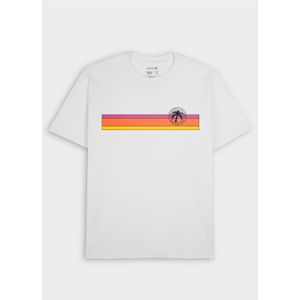 Big shirt sunset box mc