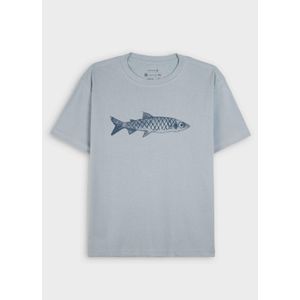 Big shirt sardinha mc