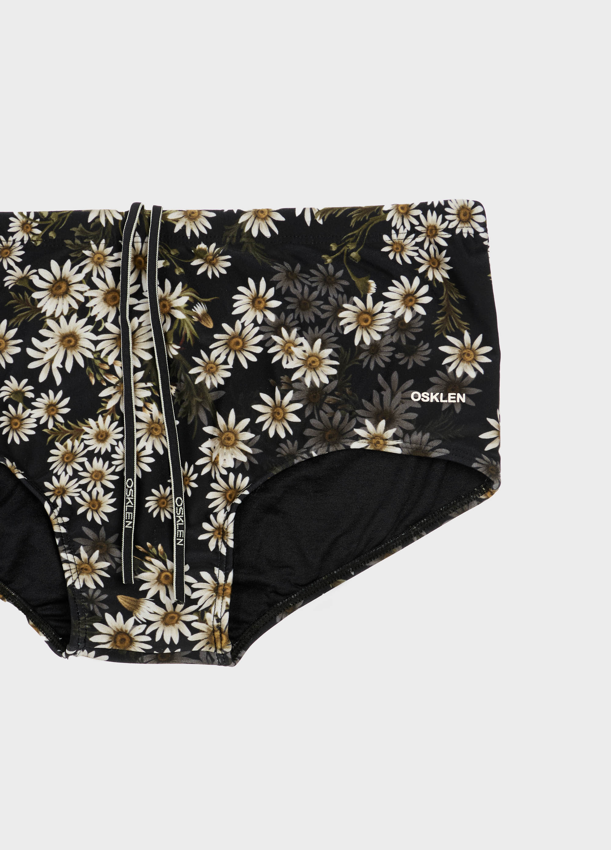 Sunga daisy night