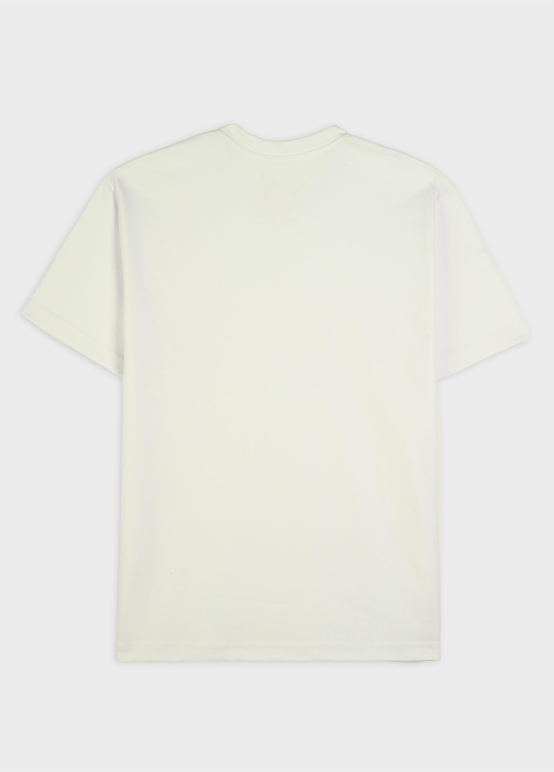 Big shirt osklen handmade