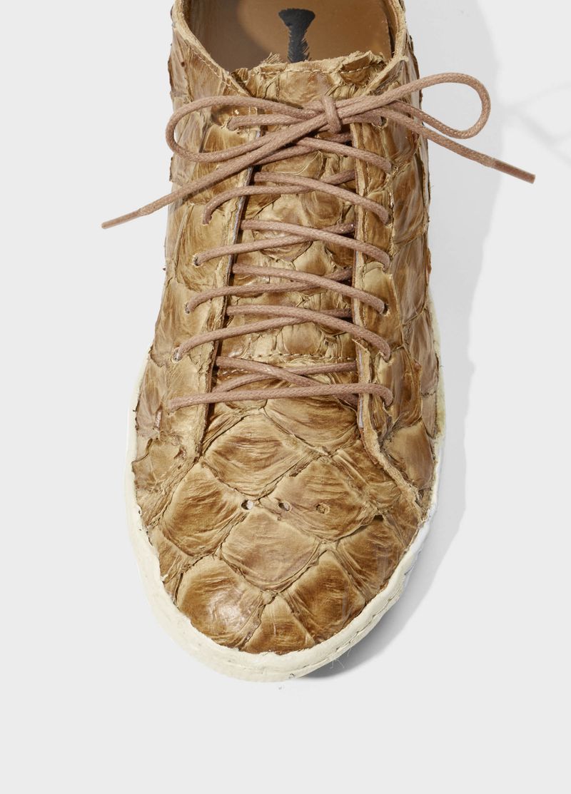 TENIS