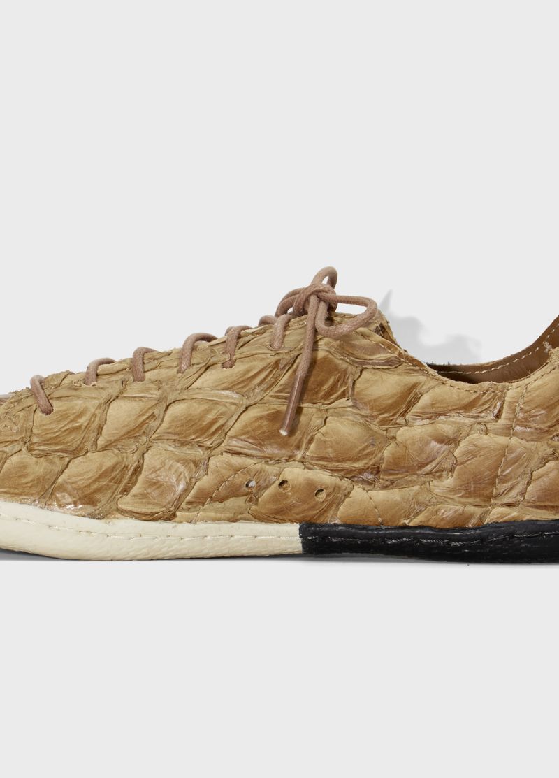 TENIS
