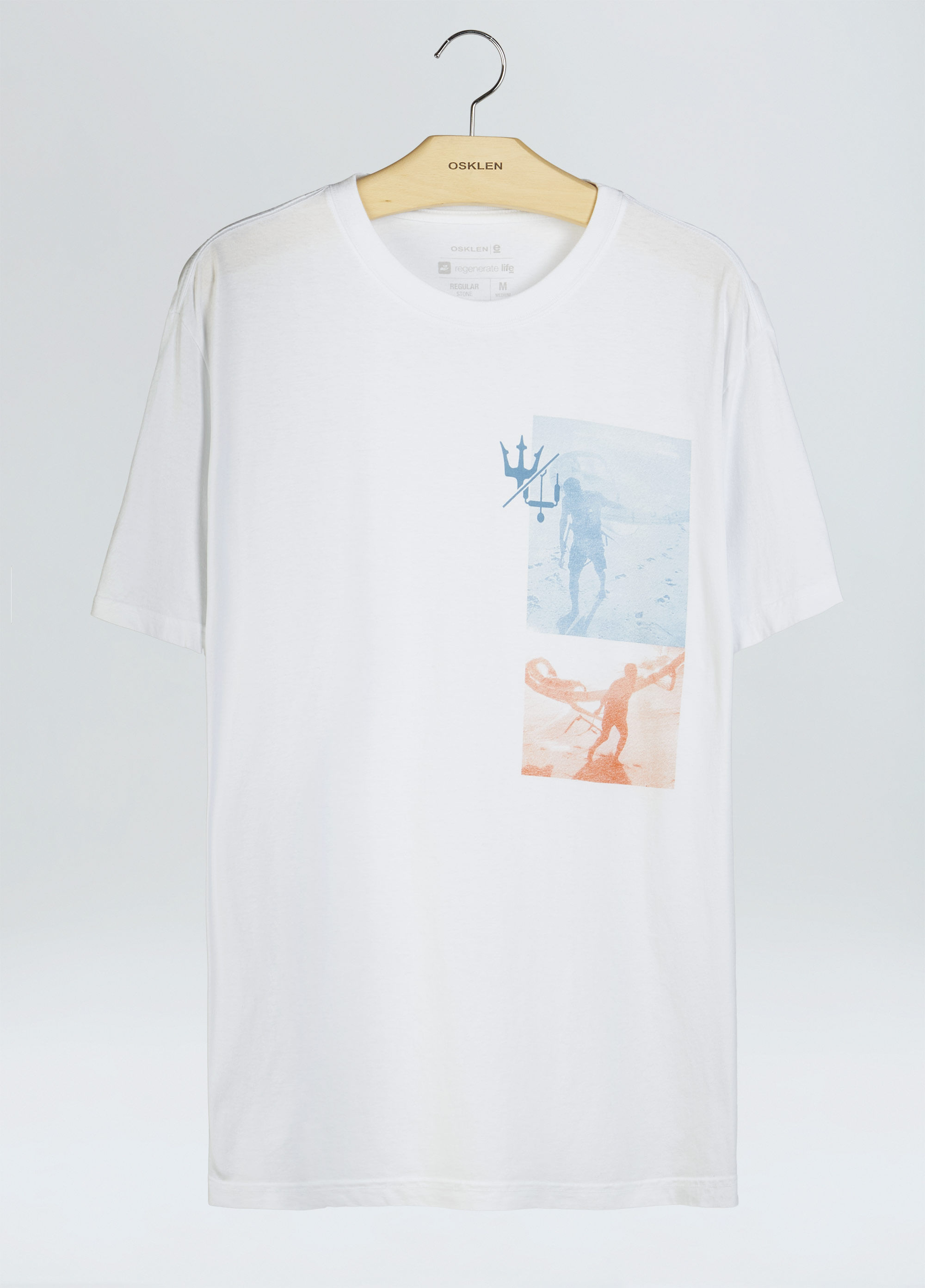 T-shirt stone kitephoto
