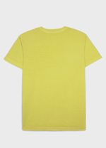 TSHIRT STONE SMALL PALM MC