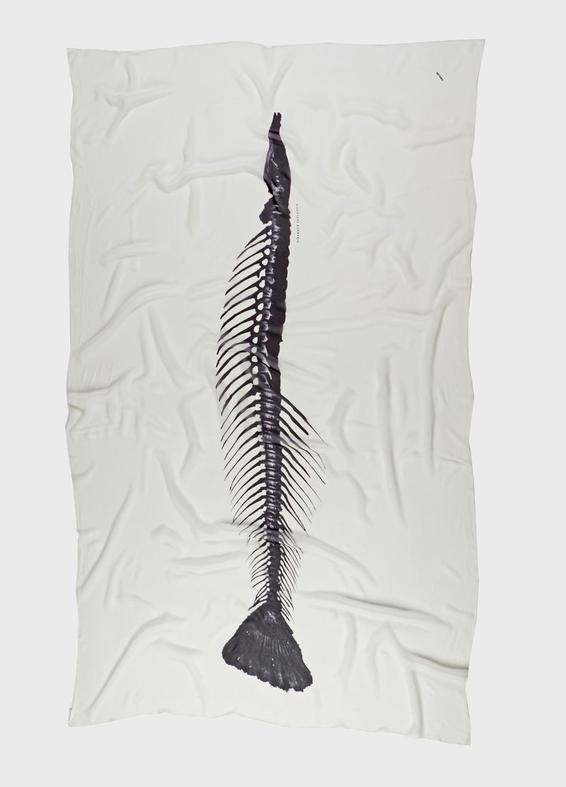 ENCO PIRARUCU SPINE, FOTO 2